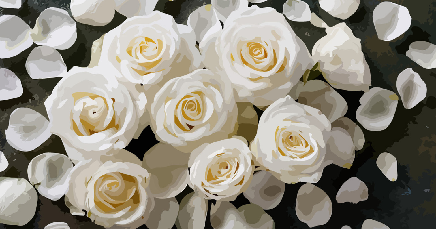 Background Image Option: White Rose