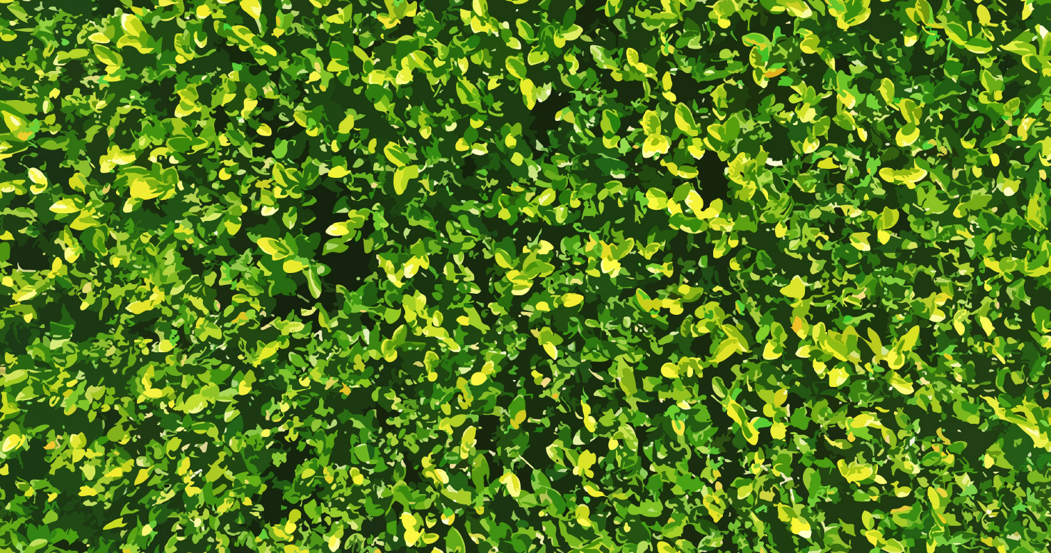 Background Image Option: Greenery Wall