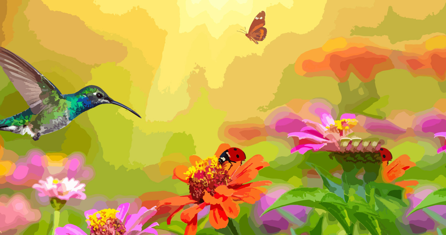 Background Image Option: The Garden